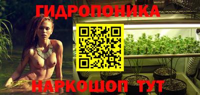 Альфа ПВП Лесосибирск