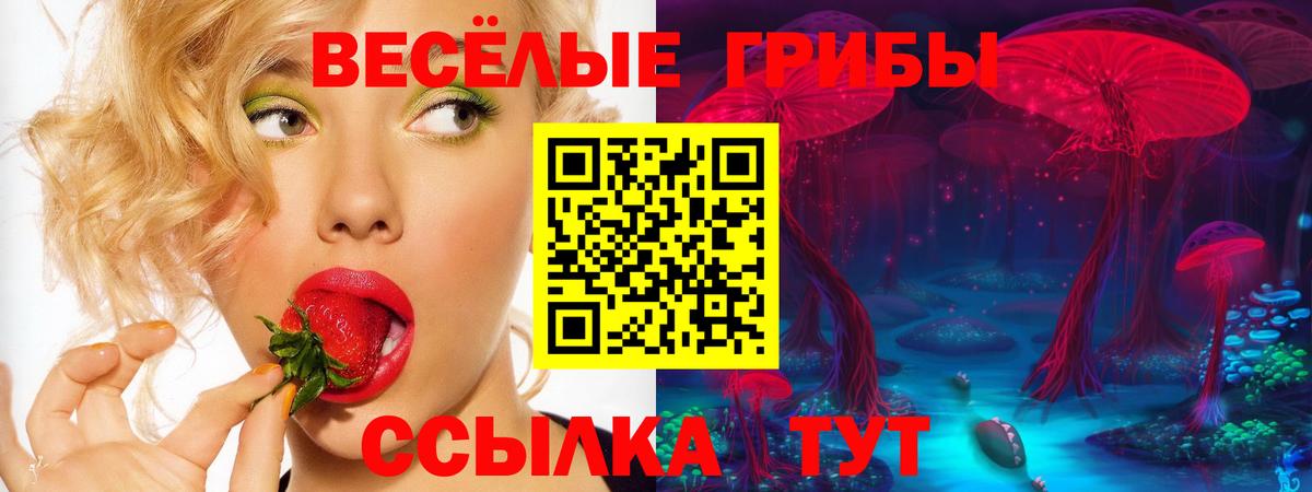 Галлюциногенные грибы MAGIC MUSHROOMS  Вход с VPN  Клинцы  Псилоцибиновые грибы MAGIC MUSHROOMS 